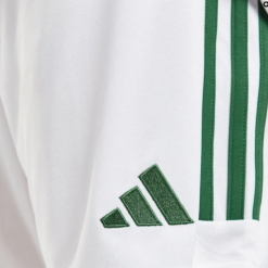 Northern Ireland 2022 Home Shorts